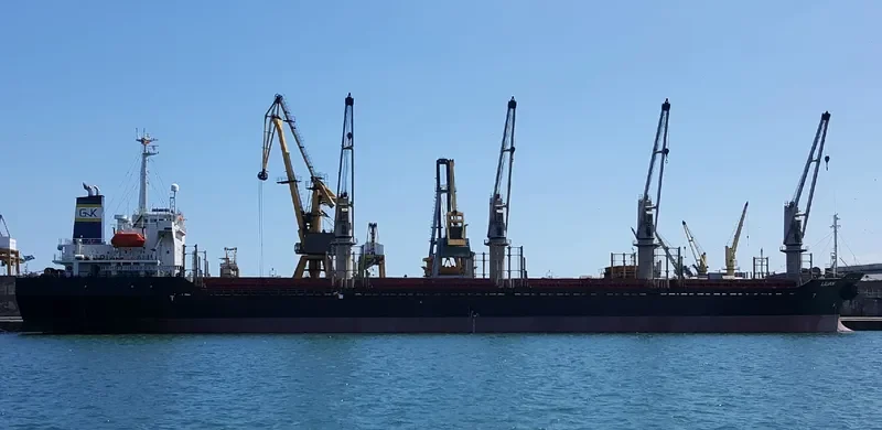 BSL CALYPSO Bulk Carrier IMO 9191448 photo 5