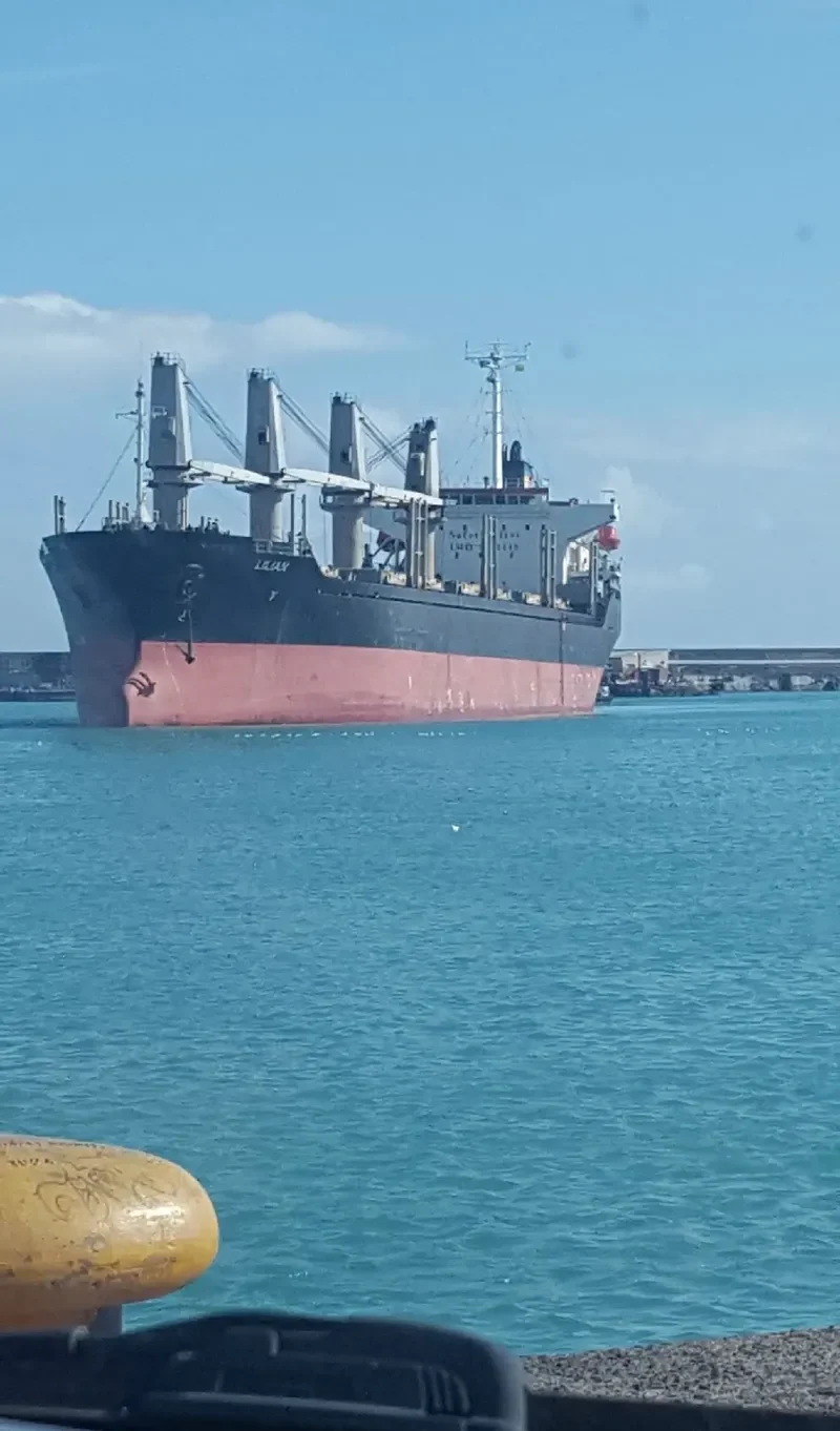 BSL CALYPSO Bulk Carrier IMO 9191448 photo 6