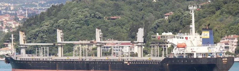 BSL CALYPSO Bulk Carrier IMO 9191448 photo 7
