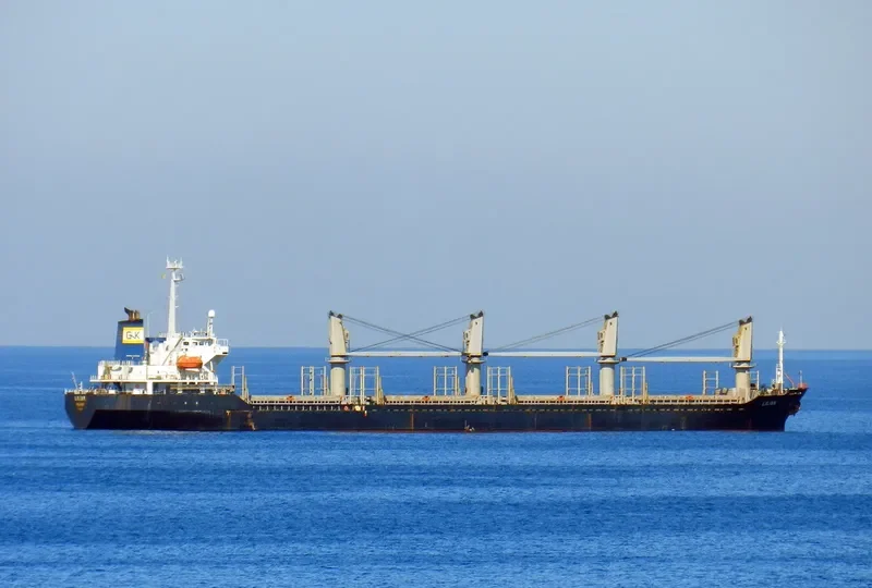 BSL CALYPSO Bulk Carrier IMO 9191448 photo 9