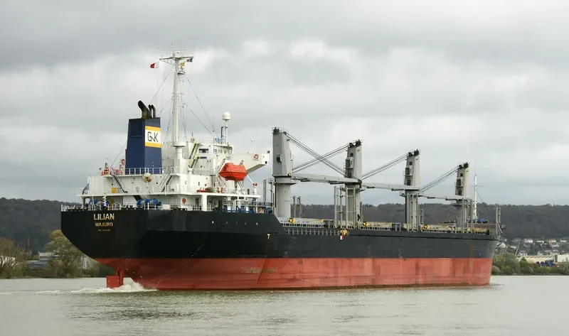BSL CALYPSO Bulk Carrier IMO 9191448 photo 10