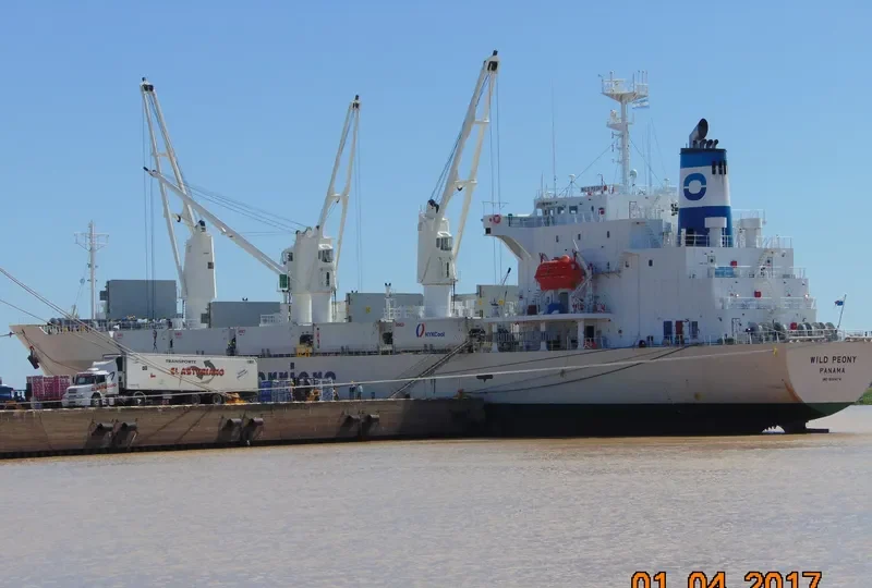 WILD PEONY General Cargo IMO 9191474