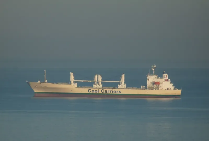 WILD PEONY General Cargo IMO 9191474 photo 2