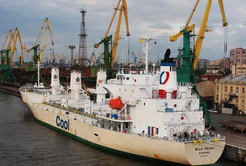 WILD PEONY General Cargo IMO 9191474 photo 4