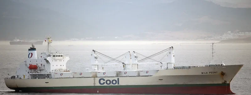 WILD PEONY General Cargo IMO 9191474 photo 6