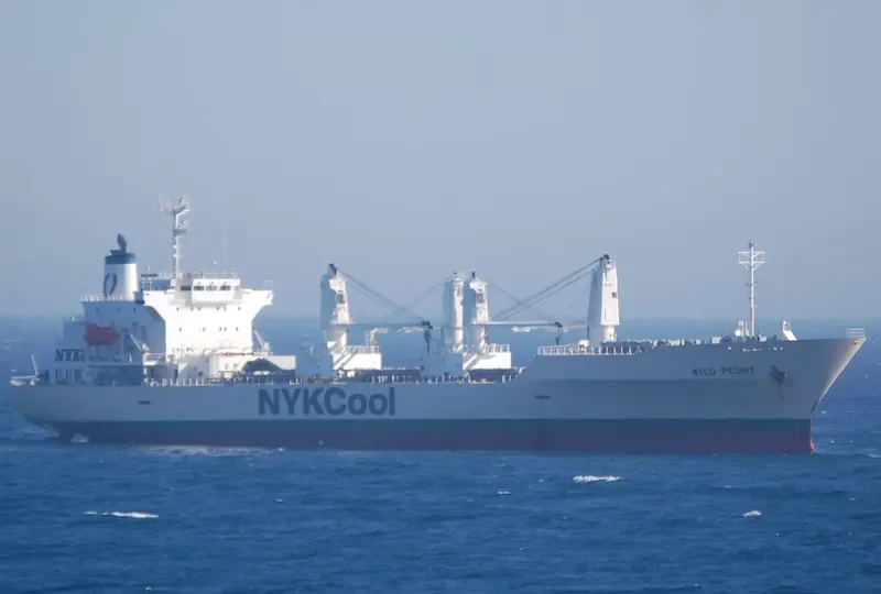 WILD PEONY General Cargo IMO 9191474 photo 7