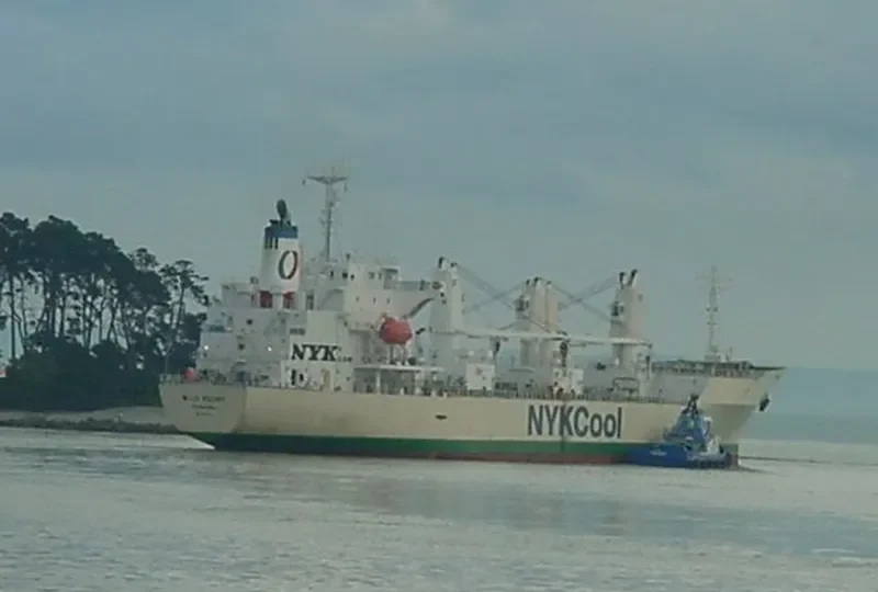 WILD PEONY General Cargo IMO 9191474 photo 8