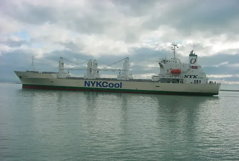 WILD PEONY General Cargo IMO 9191474 photo 9