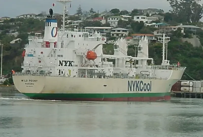 WILD PEONY General Cargo IMO 9191474 photo 10