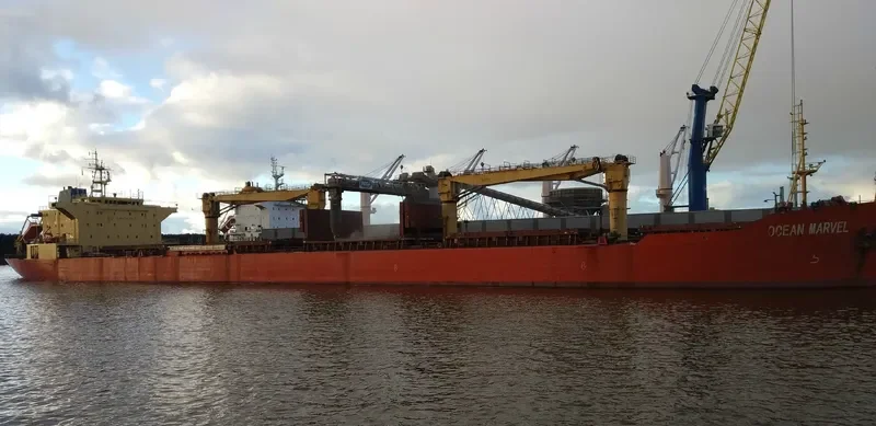 FUYUAN Bulk Carrier IMO 9191527