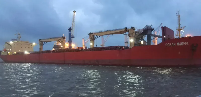 FUYUAN Bulk Carrier IMO 9191527 photo 2