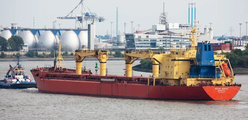 FUYUAN Bulk Carrier IMO 9191527 photo 3