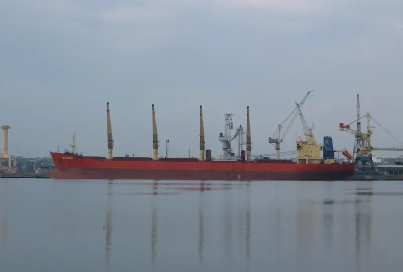 FUYUAN Bulk Carrier IMO 9191527 photo 6