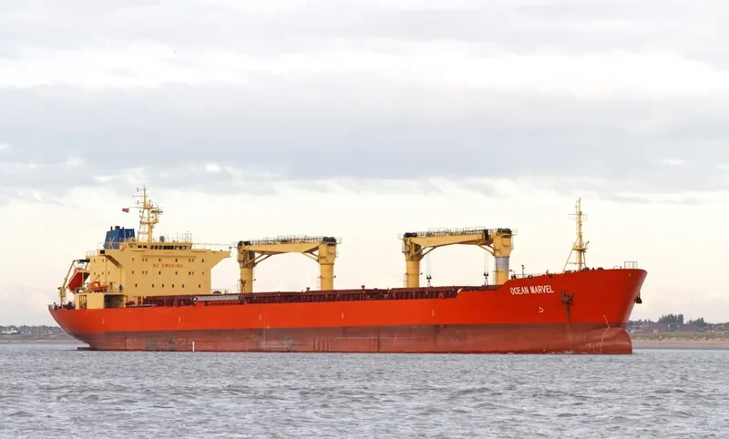 FUYUAN Bulk Carrier IMO 9191527 photo 9