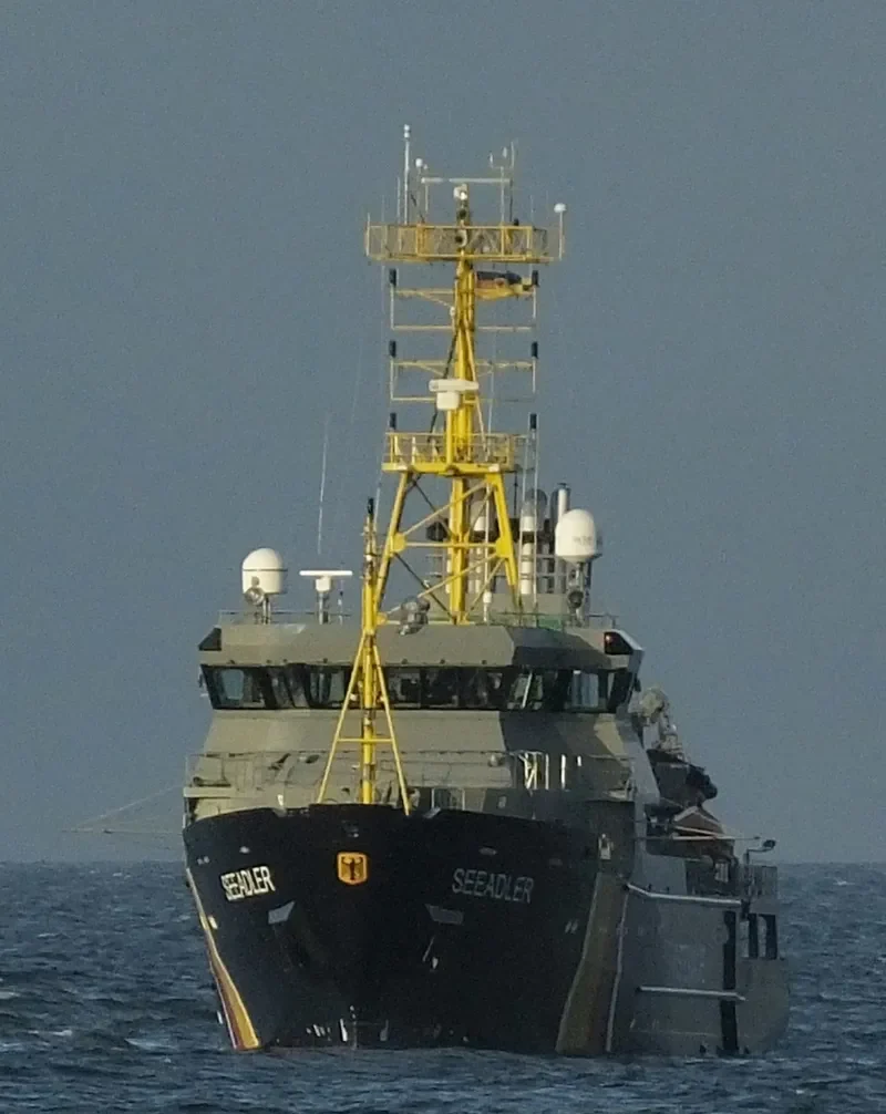 SEEADLER General Cargo IMO 9191541