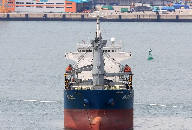 ZENITH ROYAL General Cargo IMO 9191644