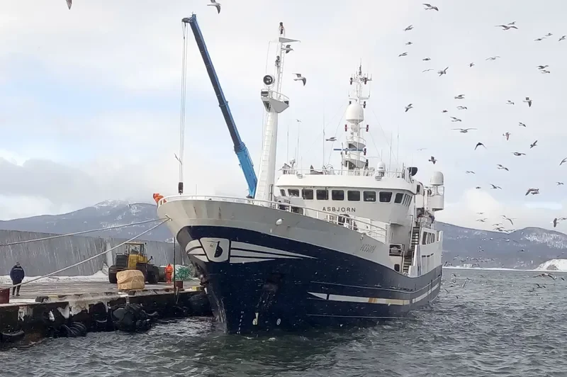 ASBJORN General Cargo IMO 9191735