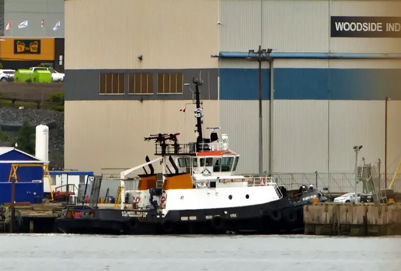 ATLANTIC WILLOW General Cargo IMO 9192117