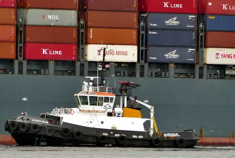 ATLANTIC WILLOW General Cargo IMO 9192117 photo 3