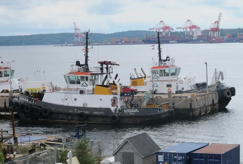 ATLANTIC WILLOW General Cargo IMO 9192117 photo 8