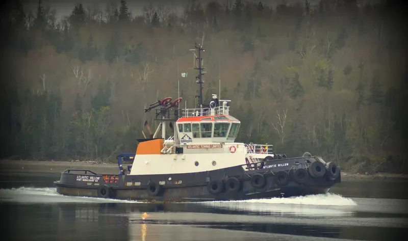 ATLANTIC WILLOW General Cargo IMO 9192117 photo 9
