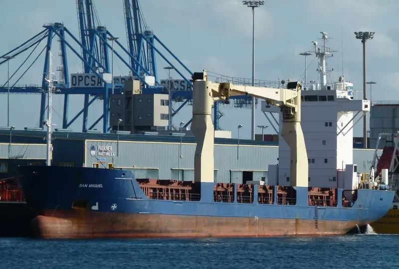 MANANTIAL General Cargo IMO 9192155 photo 5