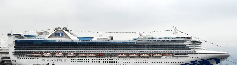 PACIFIC ENCOUNTER Passenger Ship IMO 9192363 photo 2