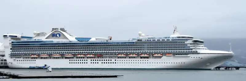 PACIFIC ENCOUNTER Passenger Ship IMO 9192363 photo 5