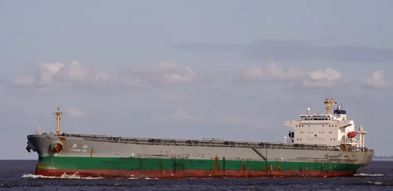 CHANG HO Bulk Carrier IMO 9192416 photo 3