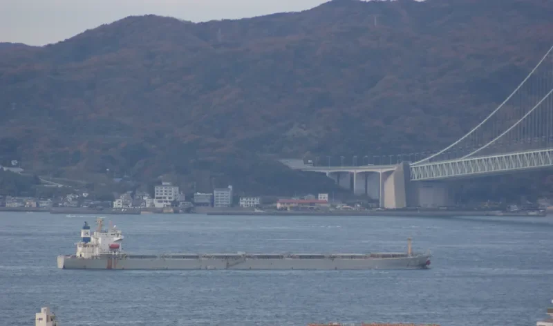 CHANG HO Bulk Carrier IMO 9192416 photo 6