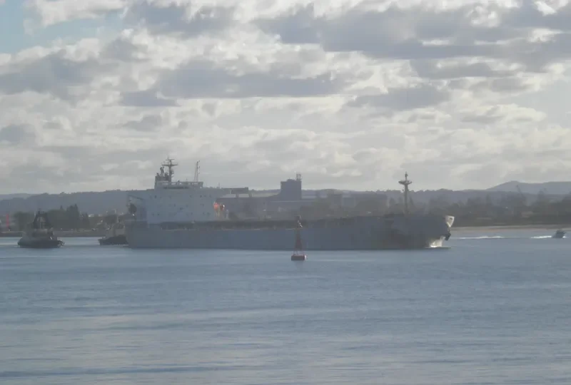 CHANG HO Bulk Carrier IMO 9192416 photo 8