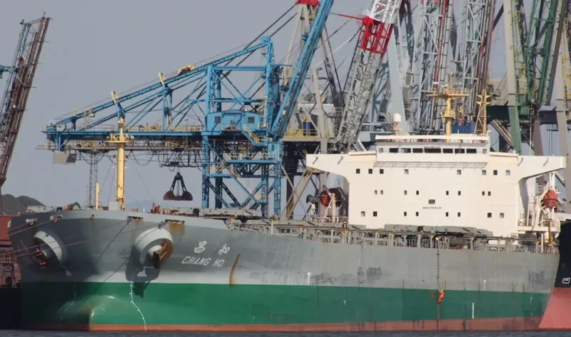 CHANG HO Bulk Carrier IMO 9192416 photo 10