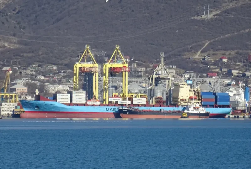 NELE MAERSK Container Ship IMO 9192442 photo 5
