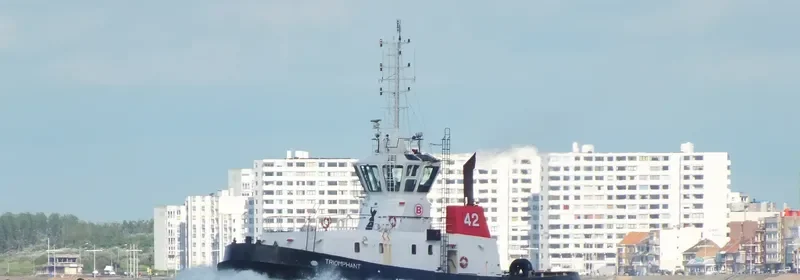 TRIOMPHANT General Cargo IMO 9192533