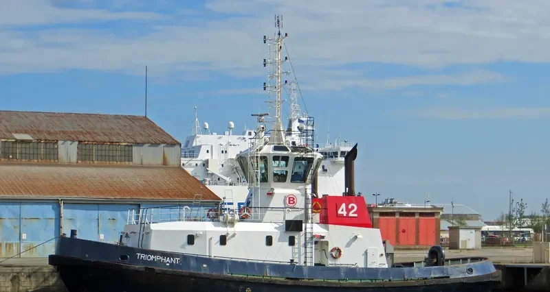 TRIOMPHANT General Cargo IMO 9192533 photo 9
