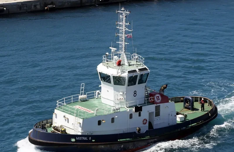 MISTRAL 8 General Cargo IMO 9192583 photo 2