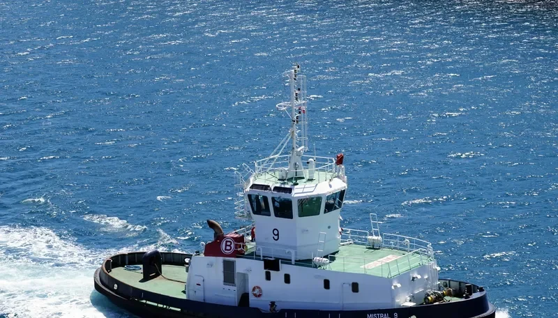 MISTRAL 9 General Cargo IMO 9192595 photo 2
