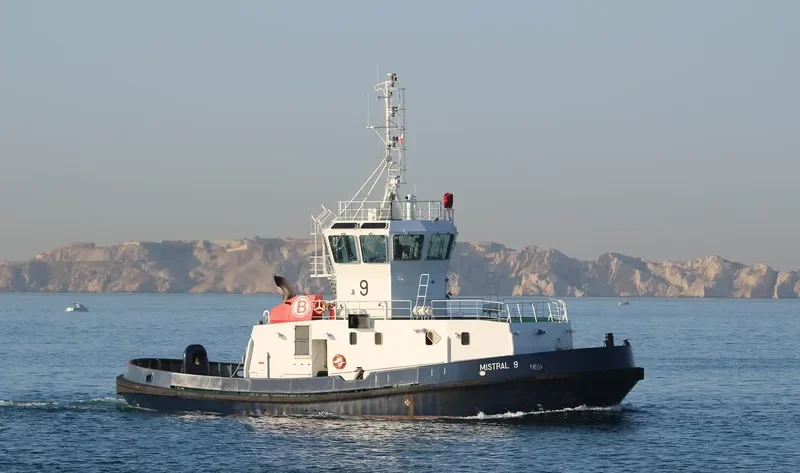 MISTRAL 9 General Cargo IMO 9192595 photo 6