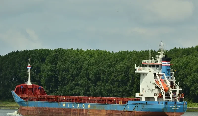 WILSON CADIZ General Cargo IMO 9192612 photo 5