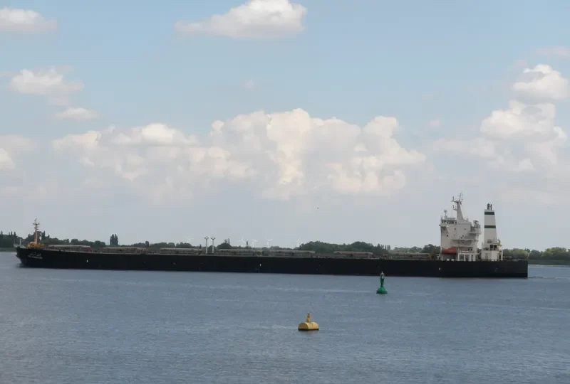 GOLSAR Bulk Carrier IMO 9193185 photo 8