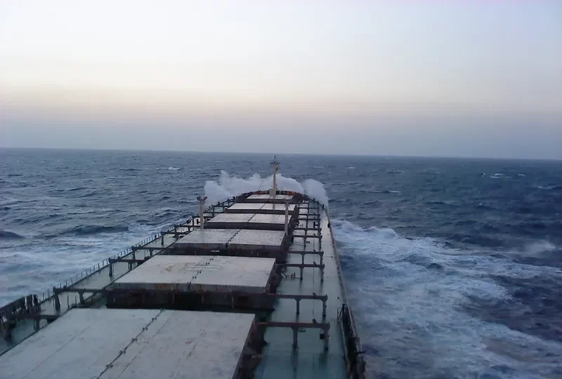 ANDIA Bulk Carrier IMO 9193197