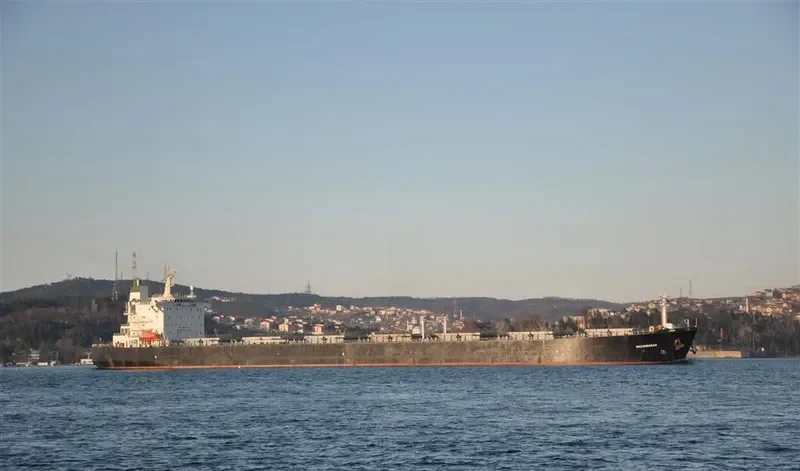 ANDIA Bulk Carrier IMO 9193197 photo 2