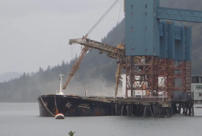 ANDIA Bulk Carrier IMO 9193197 photo 3