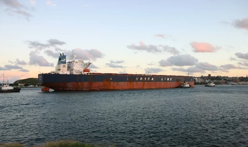ARVIN Bulk Carrier IMO 9193202 photo 3