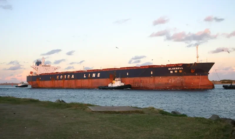 ARVIN Bulk Carrier IMO 9193202 photo 4