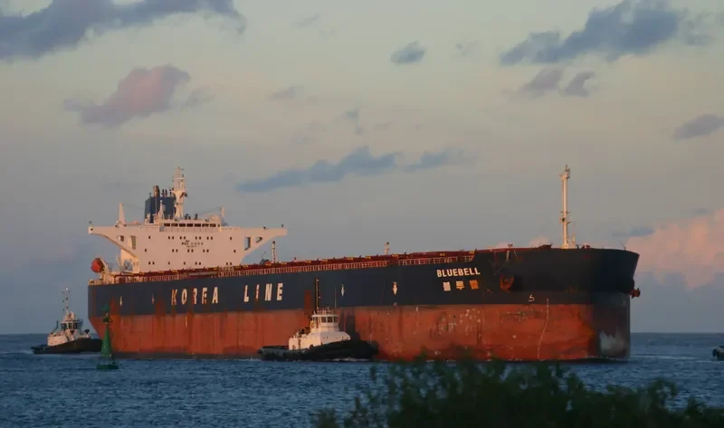 ARVIN Bulk Carrier IMO 9193202 photo 5