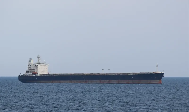 ARTAVAND Bulk Carrier IMO 9193214