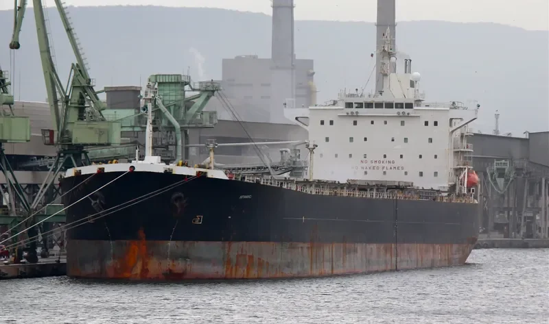 ARTAVAND Bulk Carrier IMO 9193214 photo 2