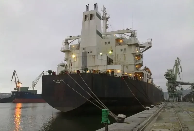 ARTAVAND Bulk Carrier IMO 9193214 photo 4