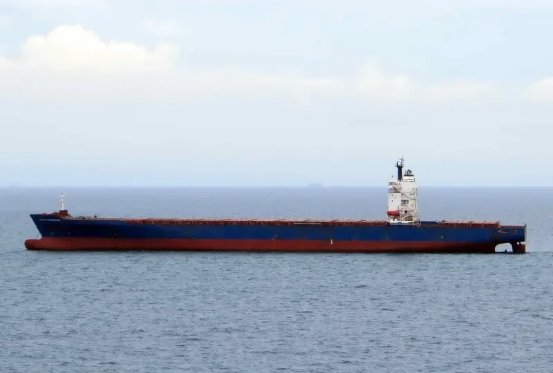MARE PHOENICIUM Container Ship IMO 9193226 photo 3